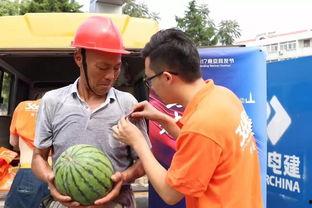 娱乐吃瓜群众1分队,揭秘娱乐圈幕后故事